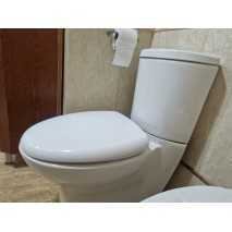 Tapa wc Modelo Presqu'le Jacob Delafon 2