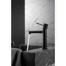 Grifo lavabo monomando Line BDD038-1NG 2