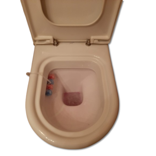 Tapa wc Clodia de Sangrá / ideal Standar / Dolomite Compatible 2
