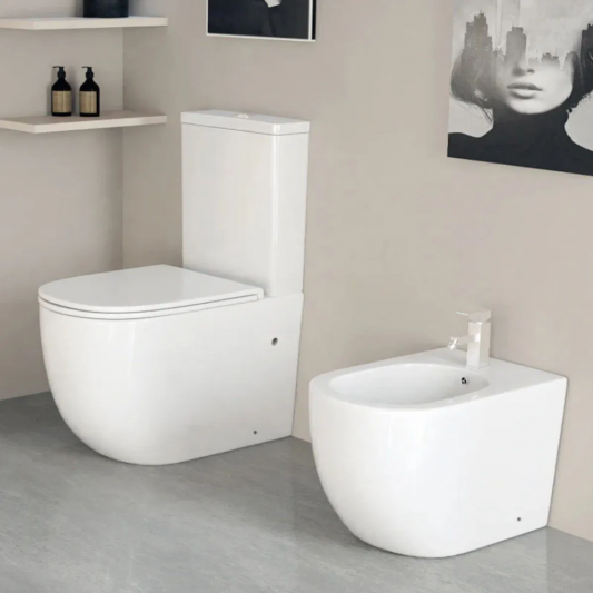 Aquore Genova| Inodoro cerámico Rimless Blanco Mate con salida dual 2