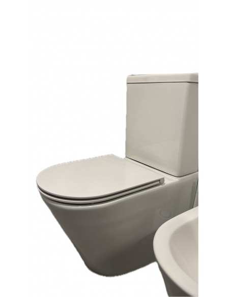 Tapa compatible Wc Duroplast Rodin de Jacob delafon