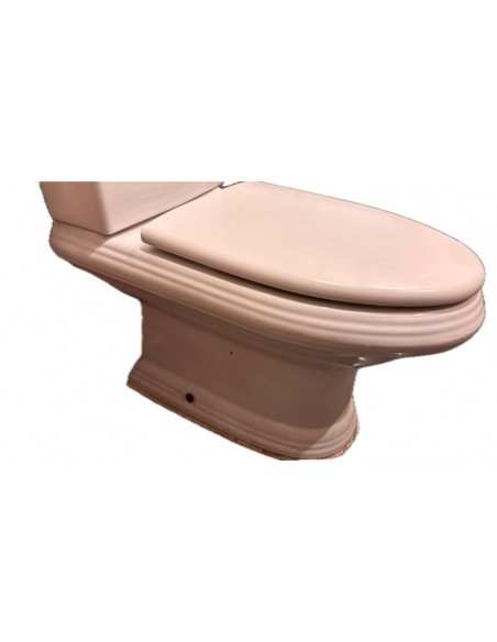 Tapa wc América de Roca Compatible