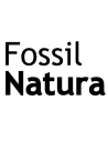 fossil natura