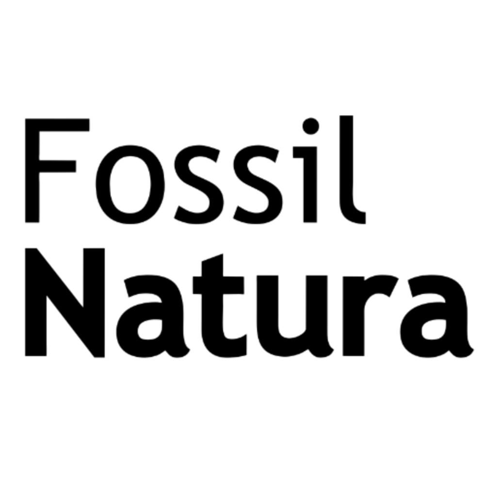 fossil natura